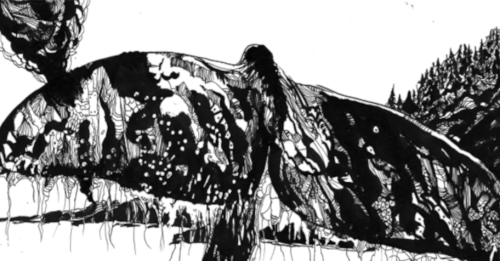 ilustración de una ballena